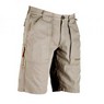 B1003120 - Sebago - Deck Shorts