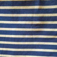 AS117 Navy/Sand Swatch